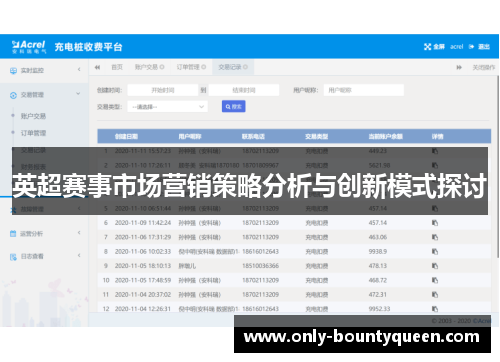 英超赛事市场营销策略分析与创新模式探讨