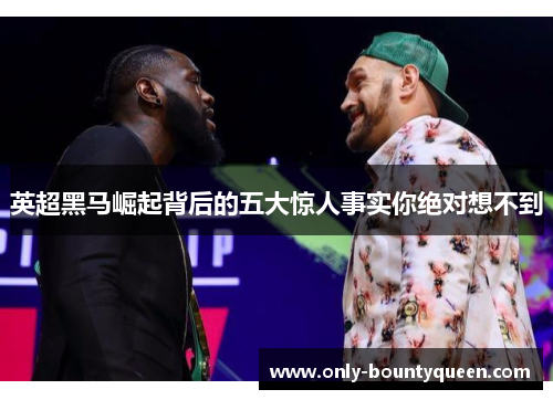 英超黑马崛起背后的五大惊人事实你绝对想不到 英超黑马崛起背后的五大惊人事实你绝对想不到